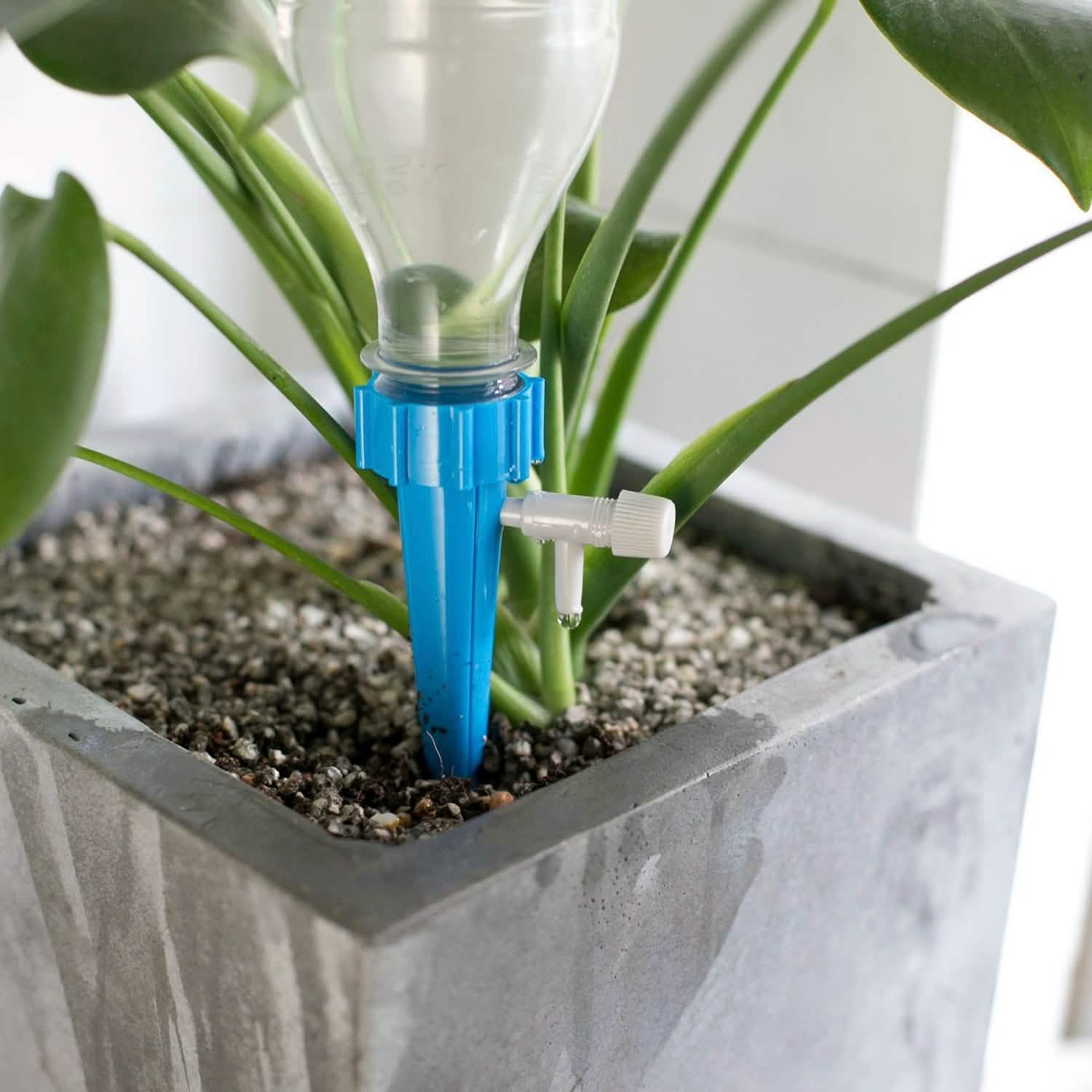 house plant watering spikes iNova 24-Piece Plant Self-Watering Spikes