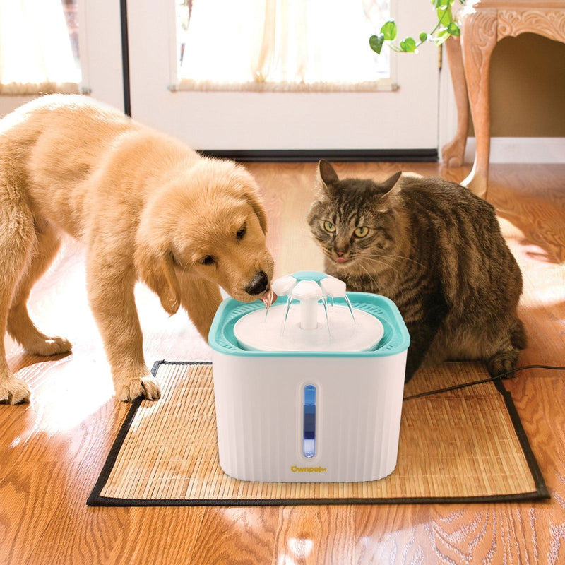2.5L Super Quiet Cat Water Fountain Bowl Pet Drinking Dispenser Pet Supplies - DailySale