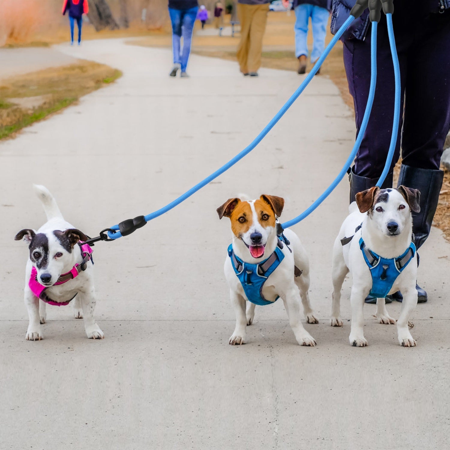 3 Dog Leash Traction Rope Walking Training Lead with Padded Handle Pet Supplies - DailySale