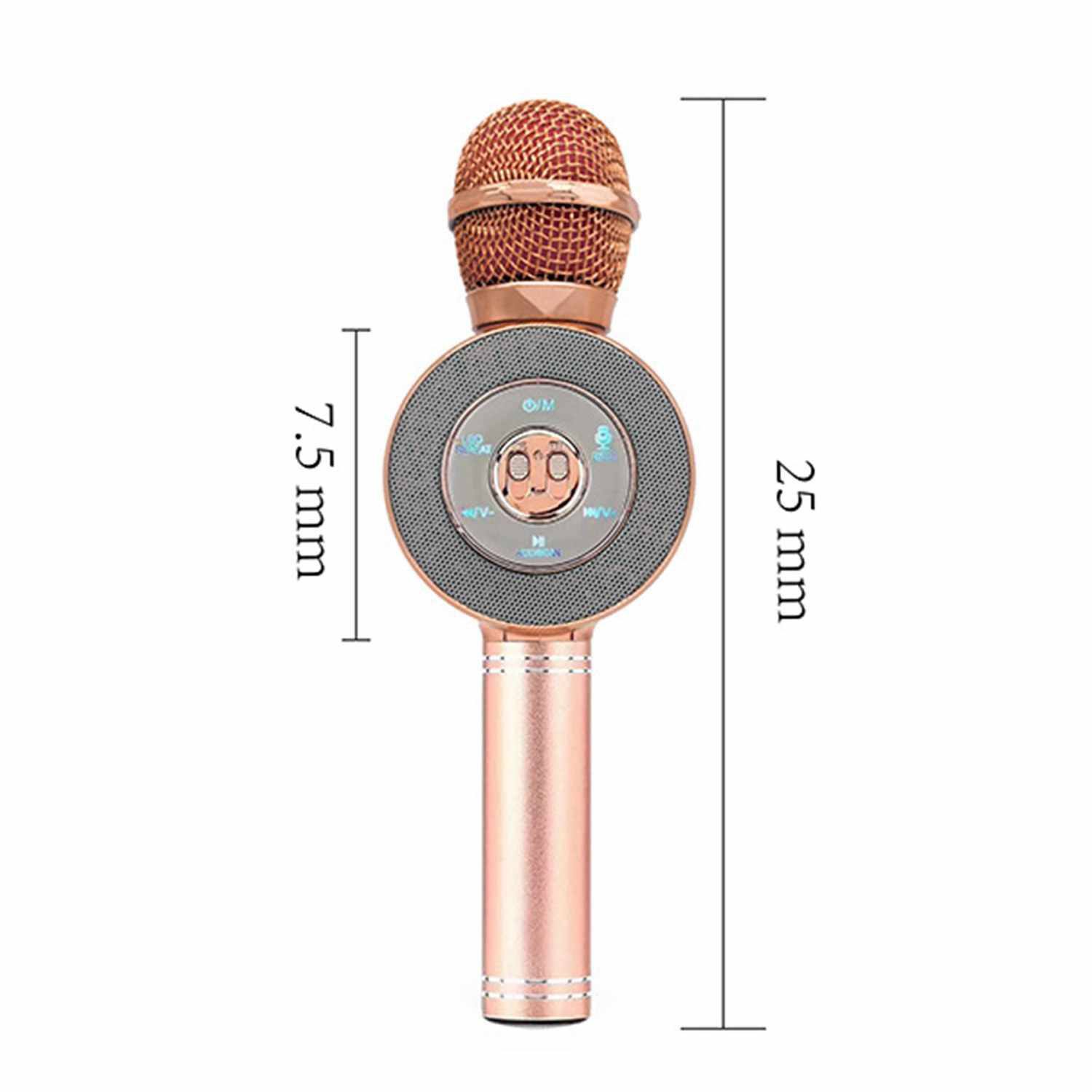 3-in-1 Wireless Karaoke Microphone Everything Else - DailySale