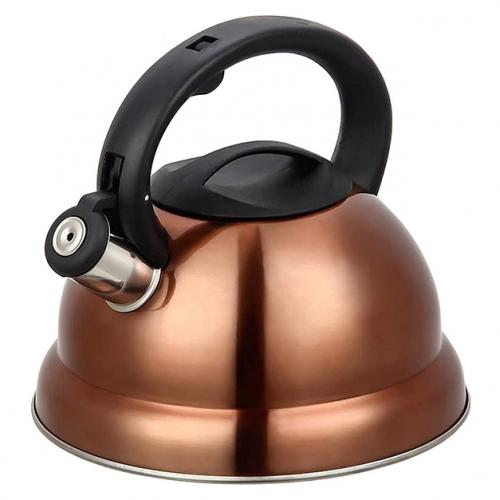 3 Liter Whistling Stainless Steel Stovetop Tea Kettle Kitchen Essentials - DailySale