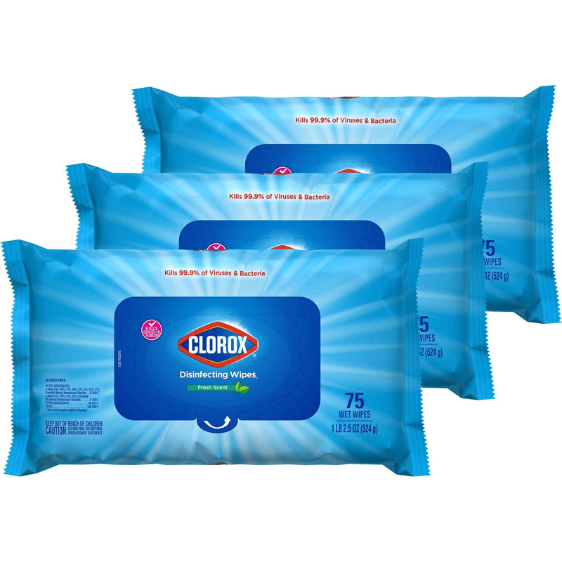3-Pack: Clorox Disinfecting Wipes Fresh Scent Face Masks & PPE - DailySale