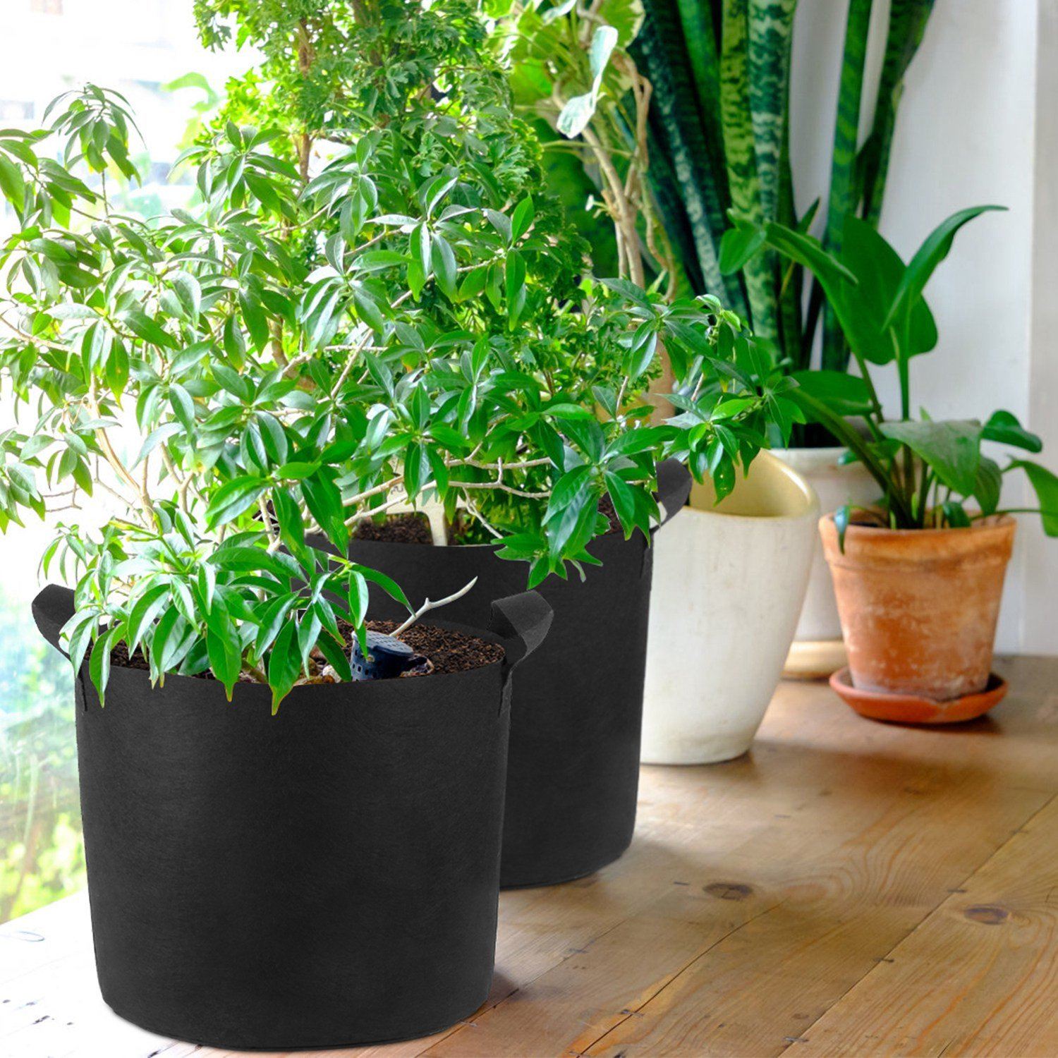 3-Pack: Planter Bags Breathable Planting Fabric Pots with Harvest Window Garden & Patio - DailySale