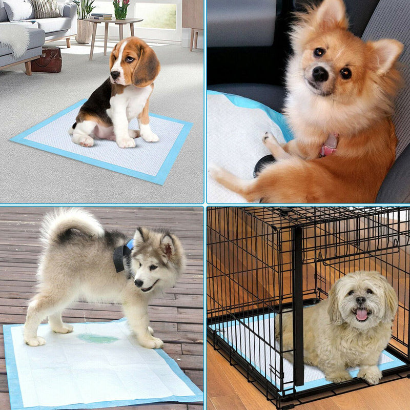 30-Piece: Ownpets Pet Dog Training Pads
