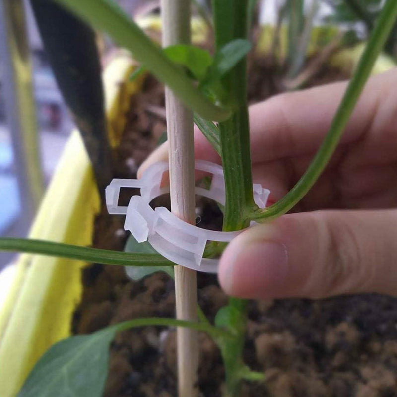 300-Pieces: Garden Plant Support Clips Garden & Patio - DailySale