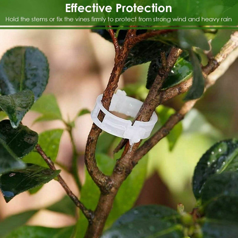300-Pieces: Garden Plant Support Clips Garden & Patio - DailySale
