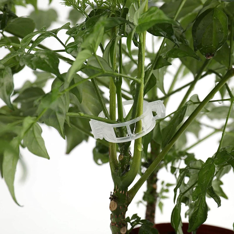 300-Pieces: Garden Plant Support Clips Garden & Patio - DailySale