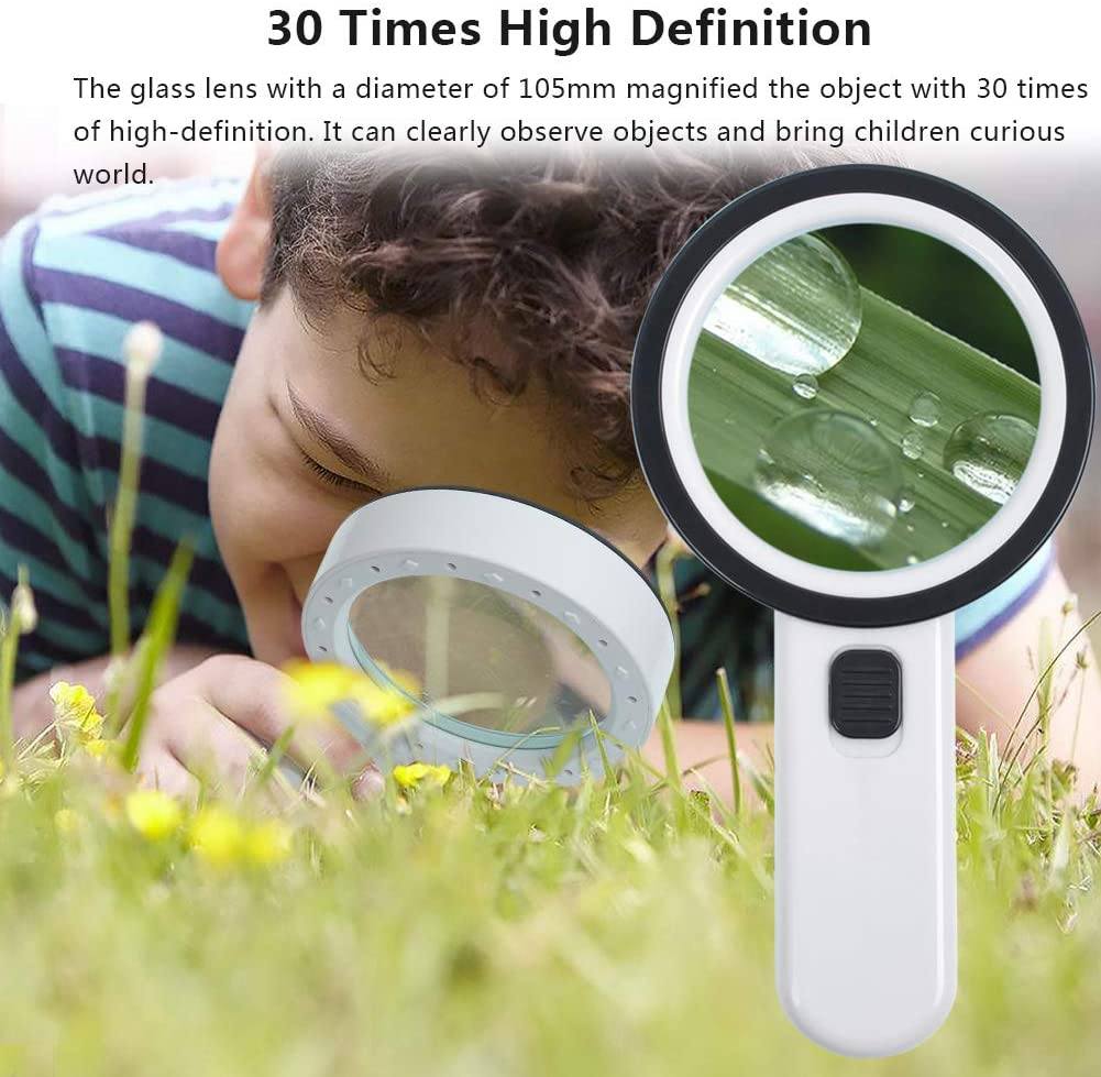 30X Handheld Large Magnifying Glass 12 LED Illuminated Lighted Magnifier Everything Else - DailySale