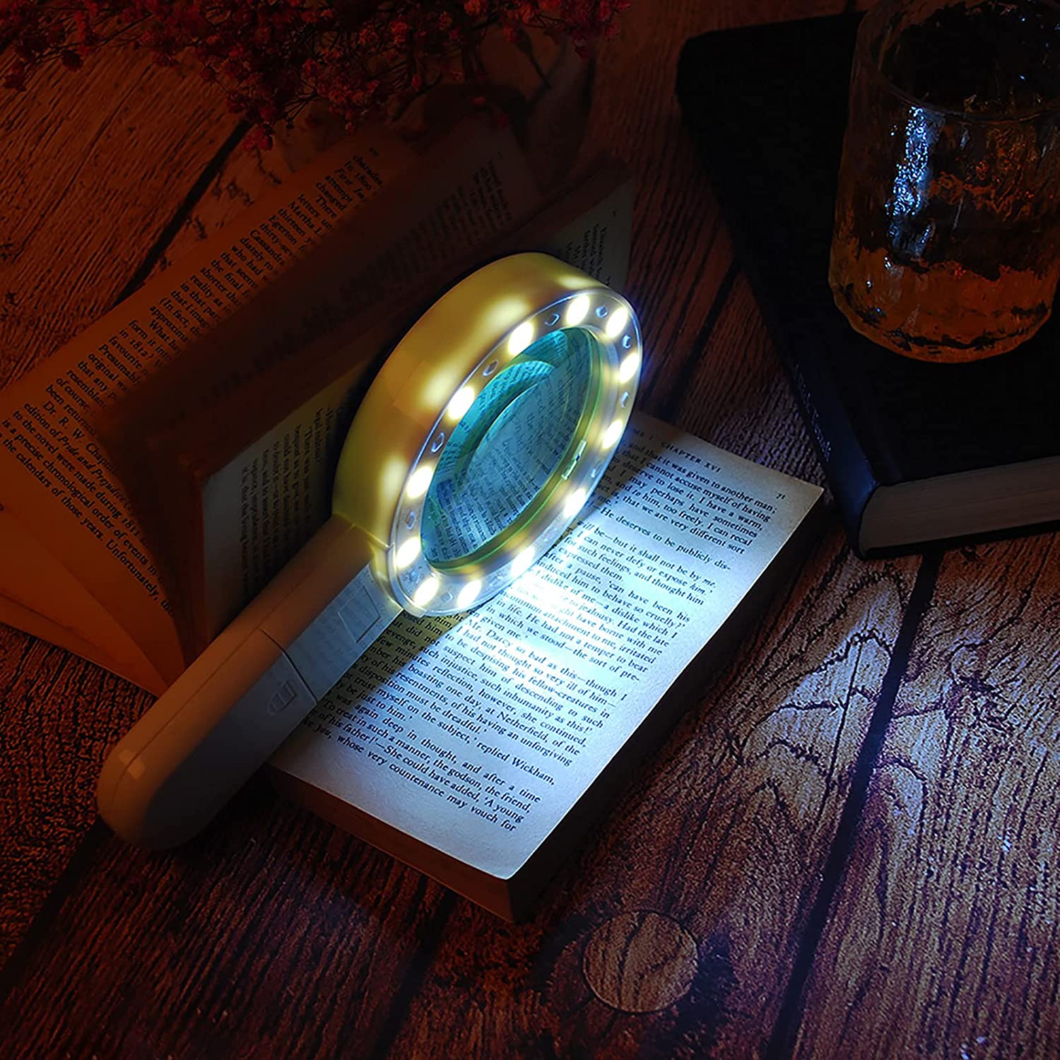 30X Handheld Large Magnifying Glass 12 LED Illuminated Lighted Magnifier Everything Else - DailySale