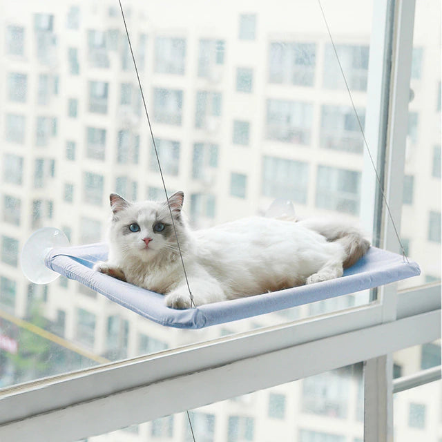 360° Cat Window Hammock: A Space-Saving Sunny Seat for Indoor Cats! Pet Supplies Black - DailySale