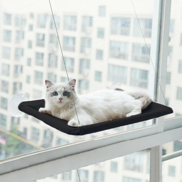 360° Cat Window Hammock: A Space-Saving Sunny Seat for Indoor Cats! Pet Supplies Blue - DailySale