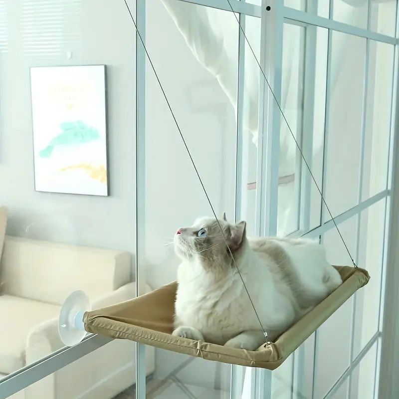 360° Cat Window Hammock: A Space-Saving Sunny Seat for Indoor Cats! Pet Supplies - DailySale
