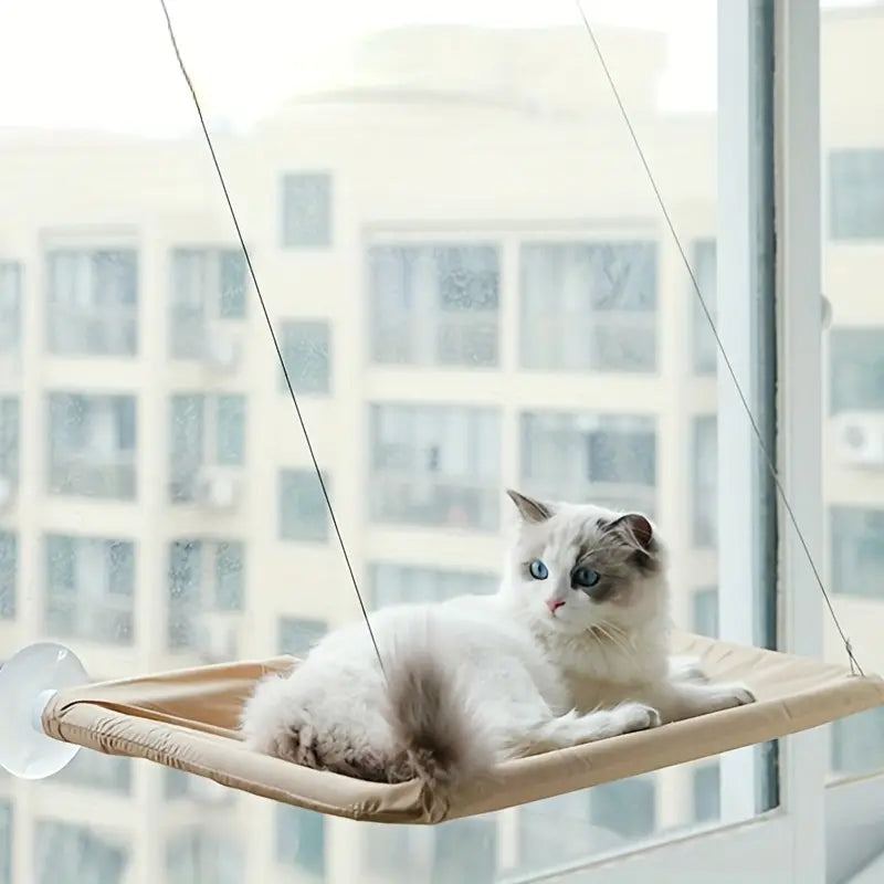 360° Cat Window Hammock: A Space-Saving Sunny Seat for Indoor Cats! Pet Supplies - DailySale