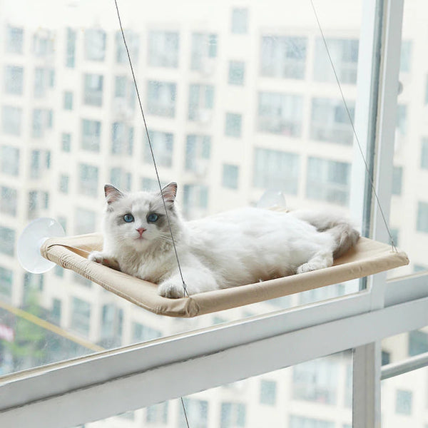360° Cat Window Hammock: A Space-Saving Sunny Seat for Indoor Cats! Pet Supplies Khaki - DailySale