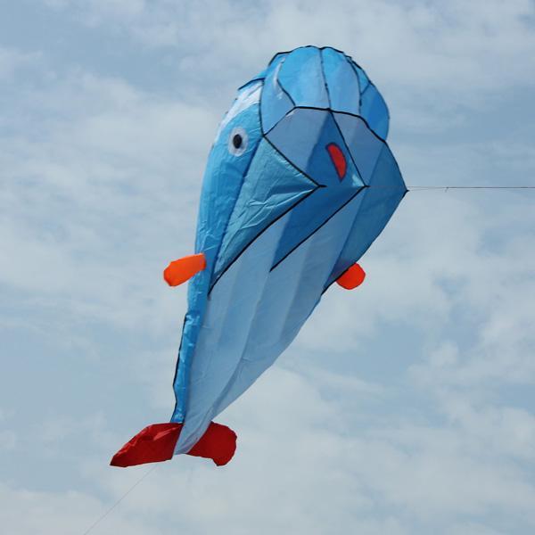 3D Kite Frameless Soft Giant and Parafoil