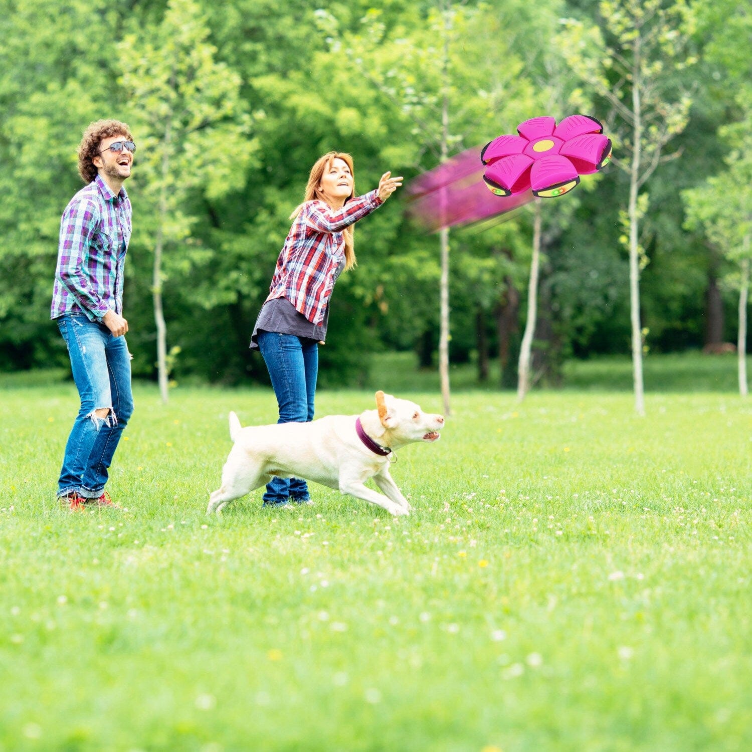 4-Pack: Flying Saucer Ball with LED Lights Toys & Games - DailySale