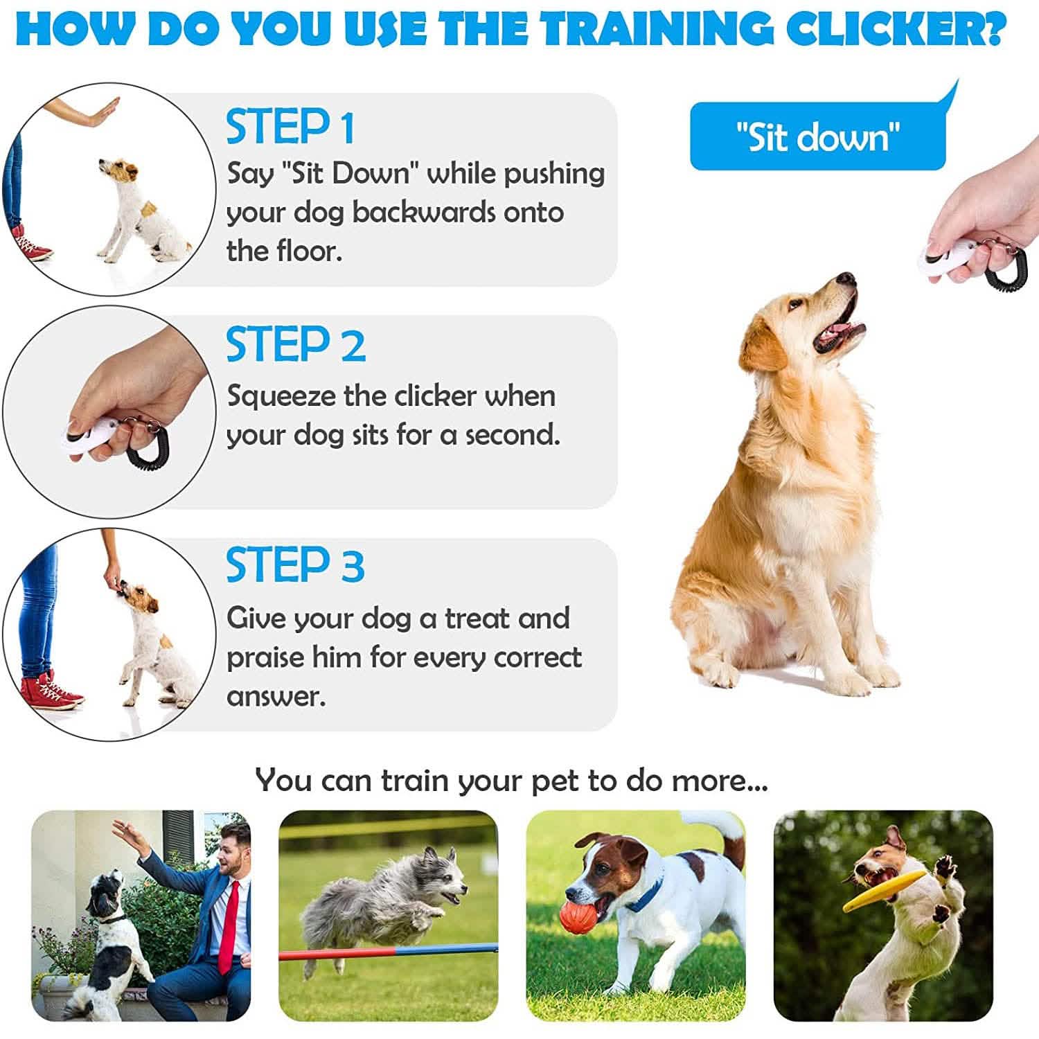 How to Use Clicker for Dog Training: Easy Steps for Success