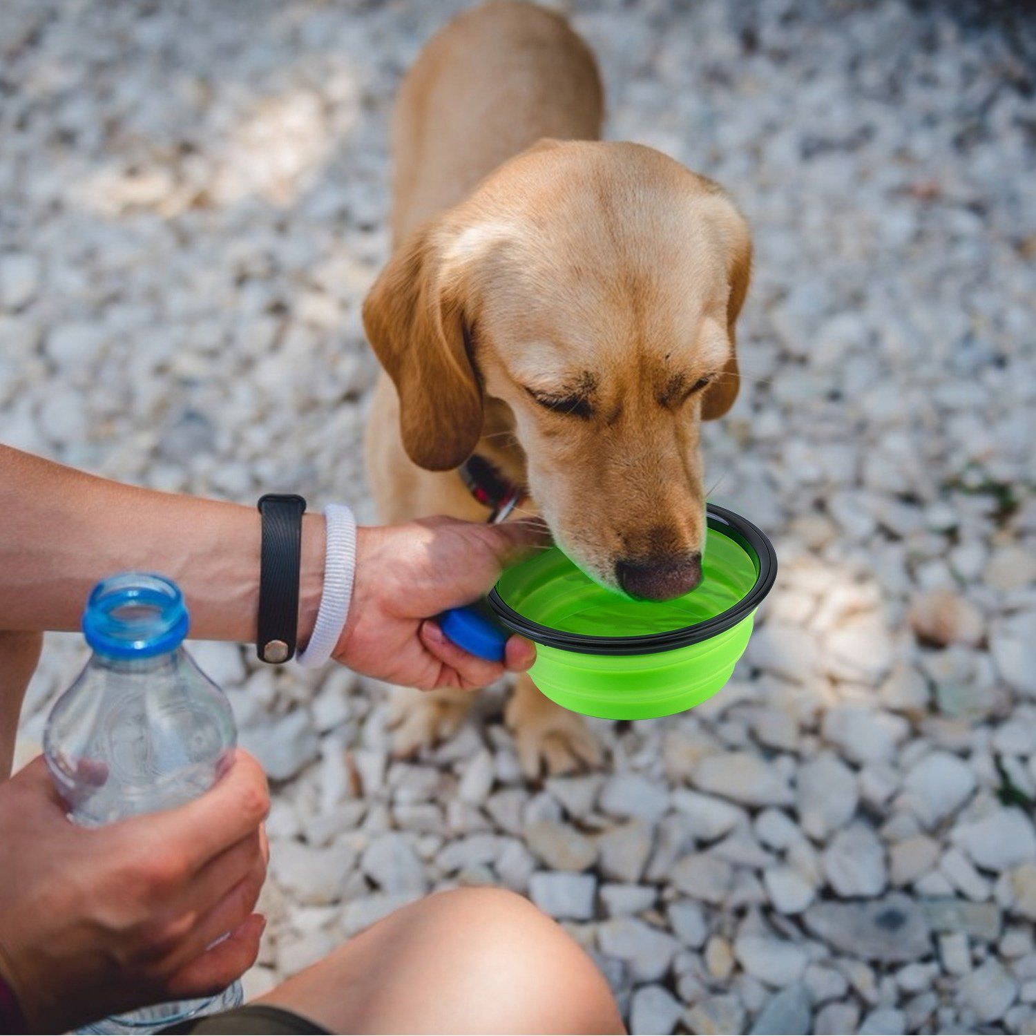 4-Pack: Silicone Collapsible Dog or Cat Food Water Bowl Pet Supplies - DailySale