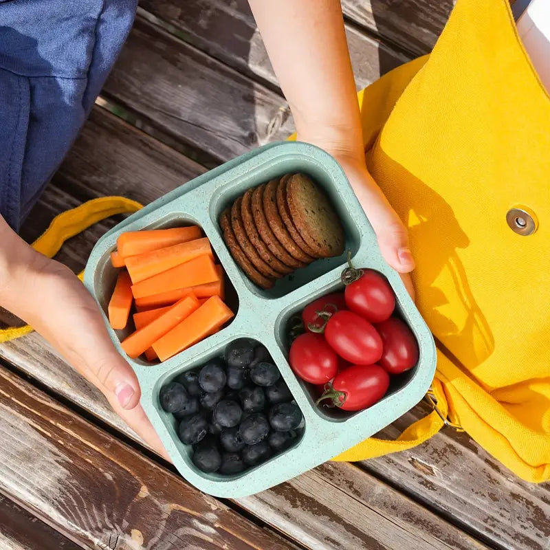 4-Pack: Snack Container With 4 Compartments, Divided Bento Lunch Box With Transparent Lids Kitchen Storage - DailySale