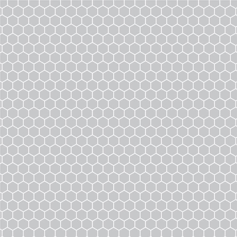 #color_light gray