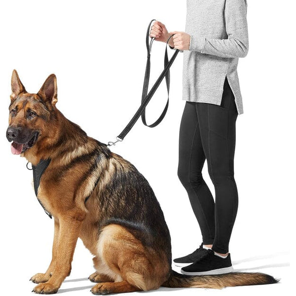 5 Foot Padded Single Handle Dog Leash Pet Supplies - DailySale