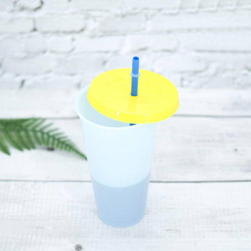 5-Pack: Colorful Drinking Cup with Lid and Straw Kitchen & Dining - DailySale