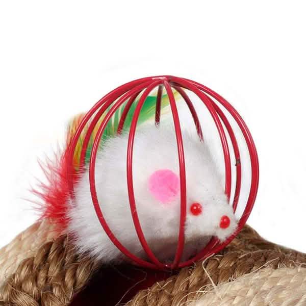5-Pack: Pet Cat Kitten Playing Mouse Ball Cage Pet Supplies - DailySale