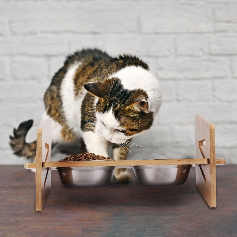 https://dailysale.com/cdn/shop/products/5degtilt-bamboo-double-elevated-dog-bowls-with-4-adjustable-heights-pet-supplies-dailysale-737818_800x.jpg?v=1696080583