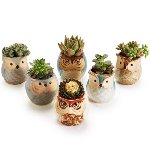 6-Pack: 2.5 Inch Owl Pot Ceramic Base Garden & Patio - DailySale