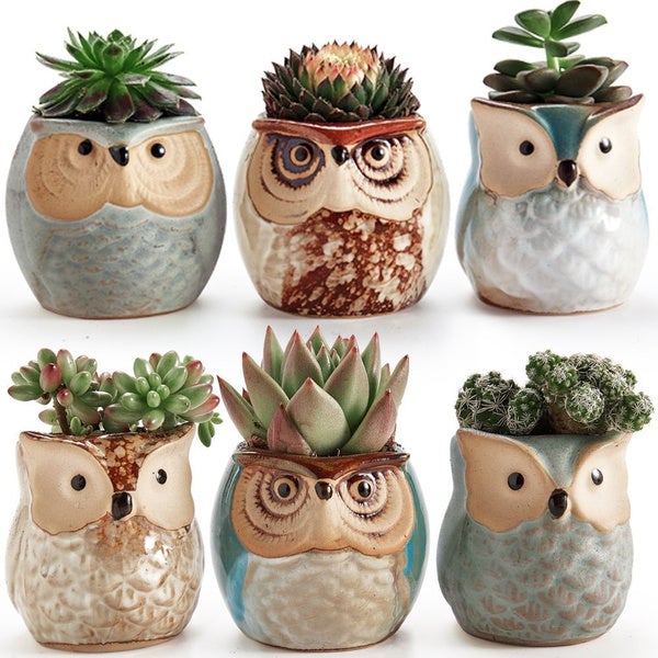 6-Pack: 2.5 Inch Owl Pot Ceramic Base Garden & Patio - DailySale