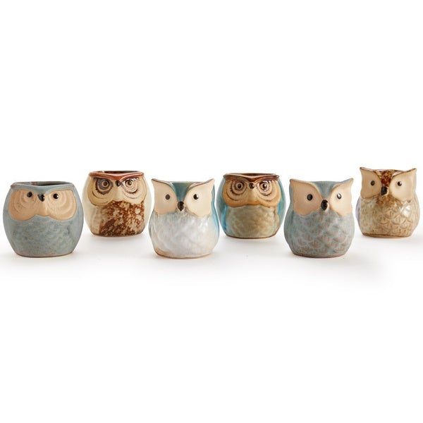 6-Pack: 2.5 Inch Owl Pot Ceramic Base Garden & Patio - DailySale