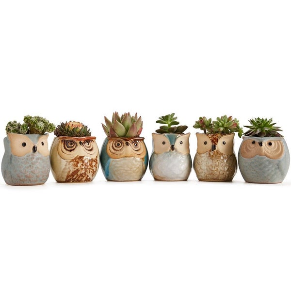 6-Pack: 2.5 Inch Owl Pot Ceramic Base Garden & Patio - DailySale