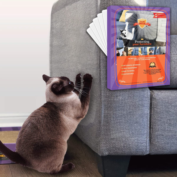 6-Pack: Amazing Shields Cat Scratch Deterrent Furniture & Decor - DailySale