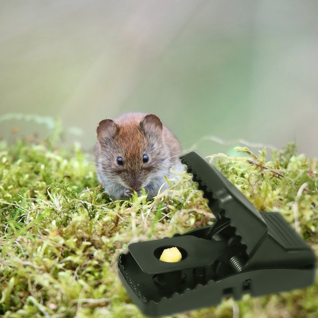 Generic 6× Mice Mouse Rat Traps Mousetrap Catcher Rat Splatter Pest Control  Reusable