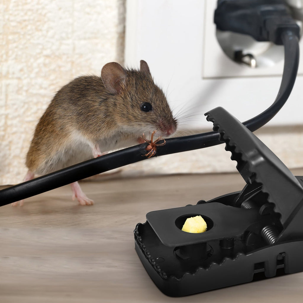 Reusable Mouse Trap, 6 Pack Mouse Traps For Indoors And Outdoors