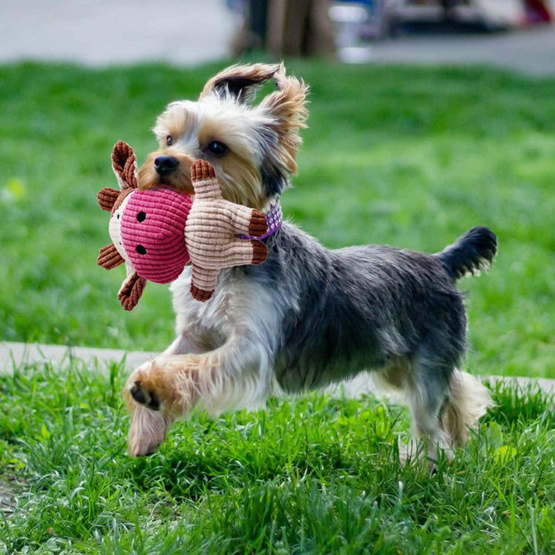 7-Piece: Puppy Cord Chew Toys Pet Supplies - DailySale