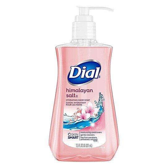 8-Pack: Dial Antibacterial Liquid Hand Soap Face Masks & PPE - DailySale