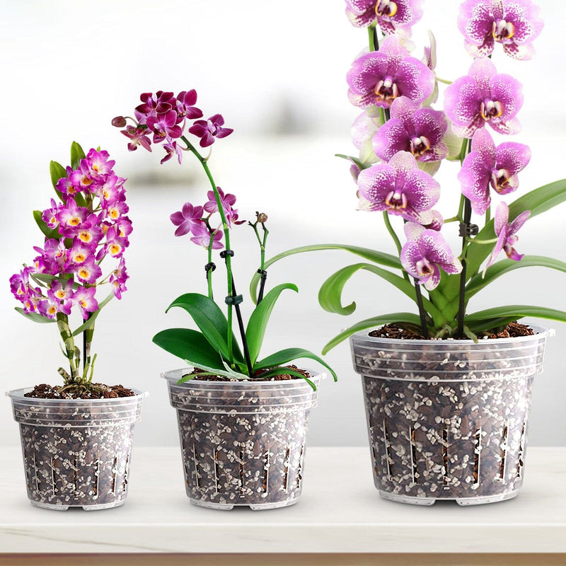 9-Piece: Orchid Pots Clear Reusable Plastic Flower Plant Nursery Planter Garden & Patio - DailySale