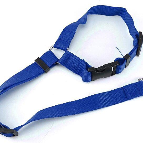 Adjustable Pet Harness Seat Belt Pet Supplies Blue - DailySale