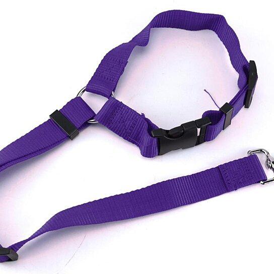 Adjustable Pet Harness Seat Belt Pet Supplies Purple - DailySale