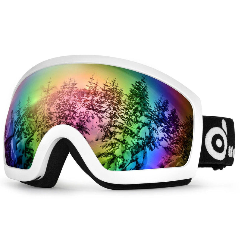 Adult Winter Ski Goggles Double Lens Eyewear Sunglasses Sports & Outdoors - DailySale