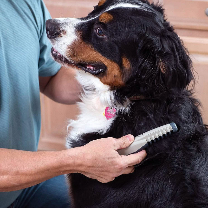Allstar Innovations Electric Pet Grooming Comb Pet Supplies - DailySale