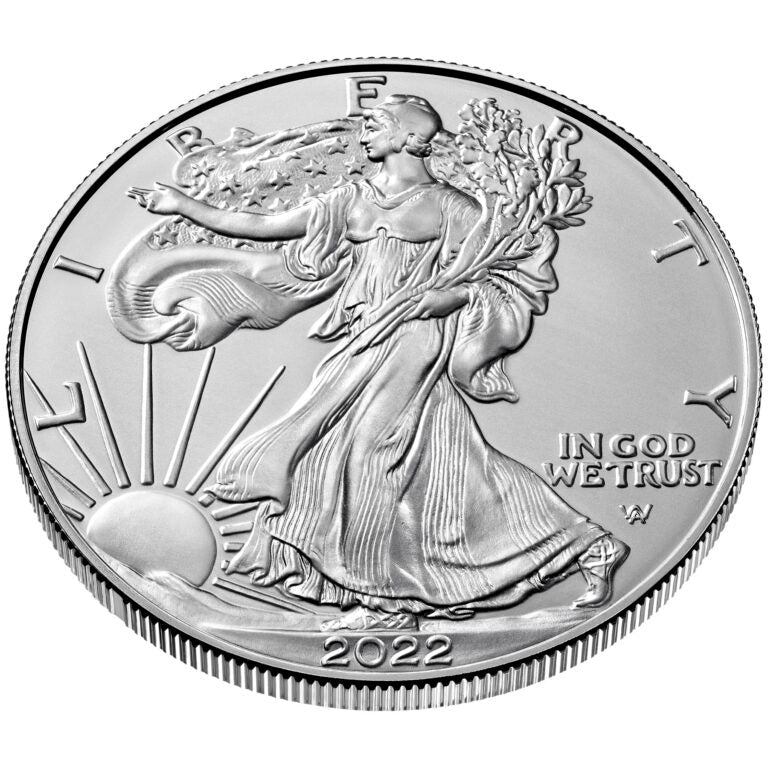 American Silver Eagle 1 oz Random Year Everything Else - DailySale