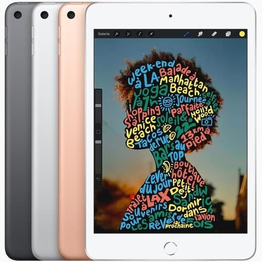 Apple iPad Mini 5th Gen (2019) WiFi (Refurbished) Tablets - DailySale