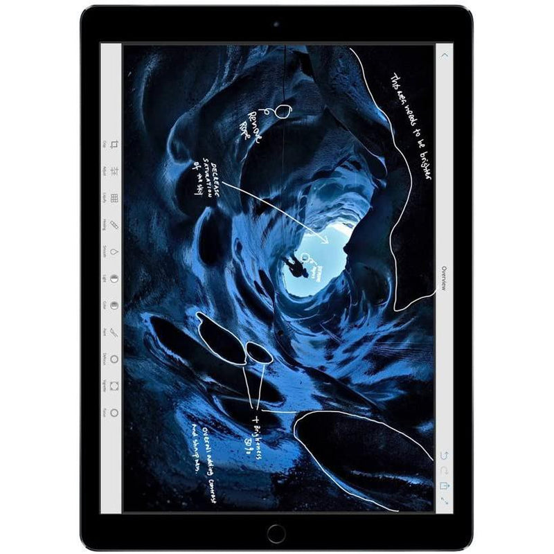 Apple iPad Pro 12" 128GB Wifi Space Gray Tablets - DailySale