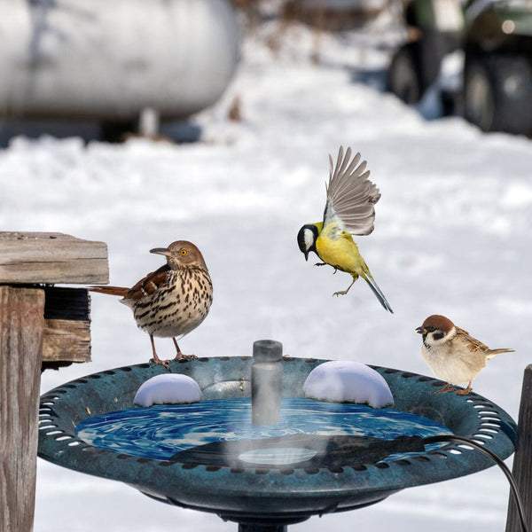 Bird Bath Deicer Outdoor Winter Water Heater Thermostatically Controlled Pet Supplies - DailySale