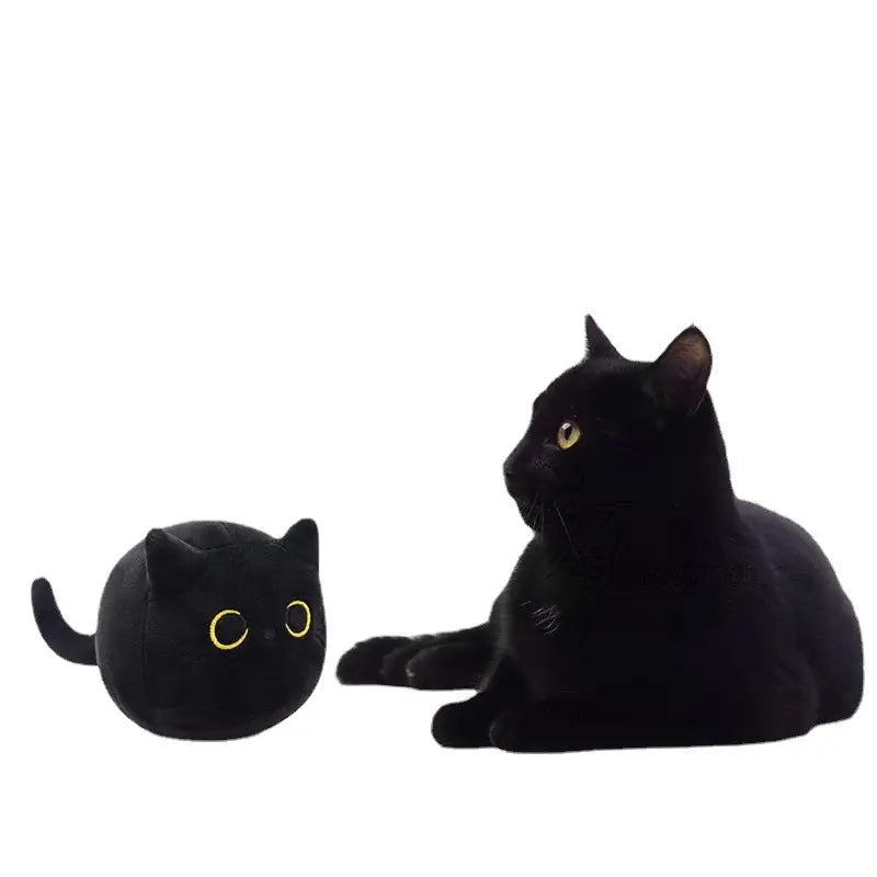Black Cat Plush Toy Toys & Games - DailySale