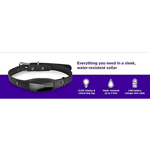 Black Decker Smart Dog Collar