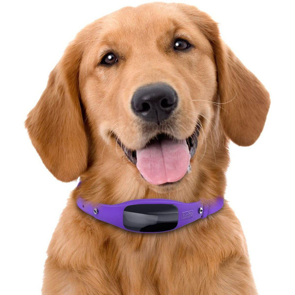 Smart dog collar hot sale black and decker