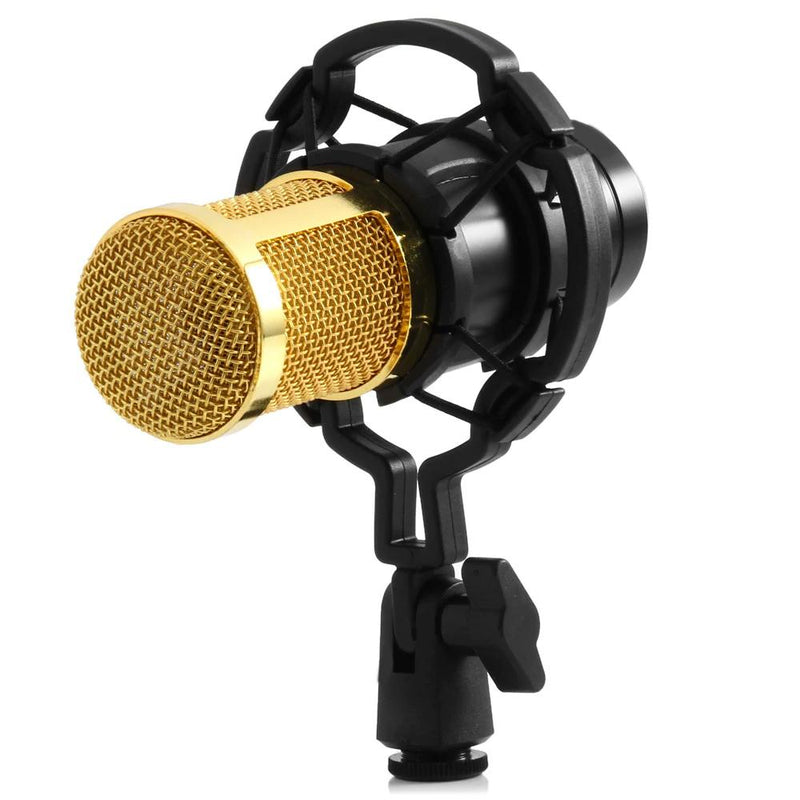 BM-800 Condenser Sound Recording Microphone with Shock Mount for Radio Braodcasting